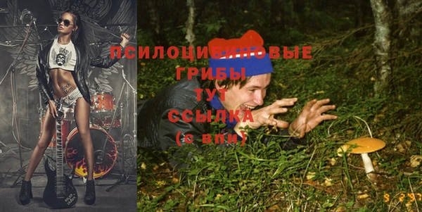 MDMA Premium VHQ Армянск
