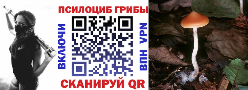 Галлюциногенные грибы Psilocybine cubensis  это состав  Павловск  OMG  
